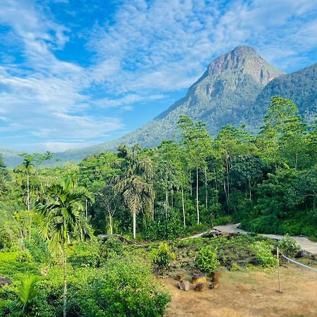Palabaddala Tea And Eco Lodge Ratnapura Zewnętrze zdjęcie