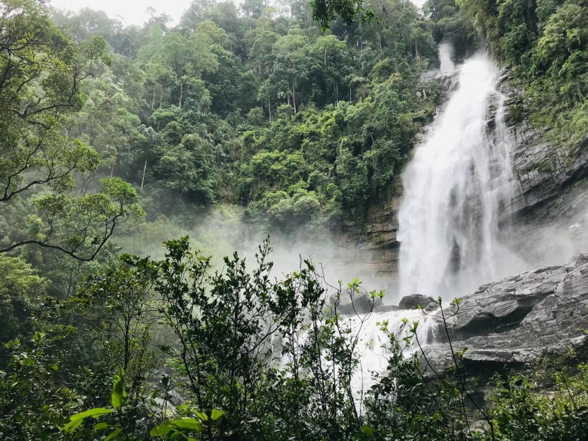 Palabaddala Tea And Eco Lodge Ratnapura Zewnętrze zdjęcie