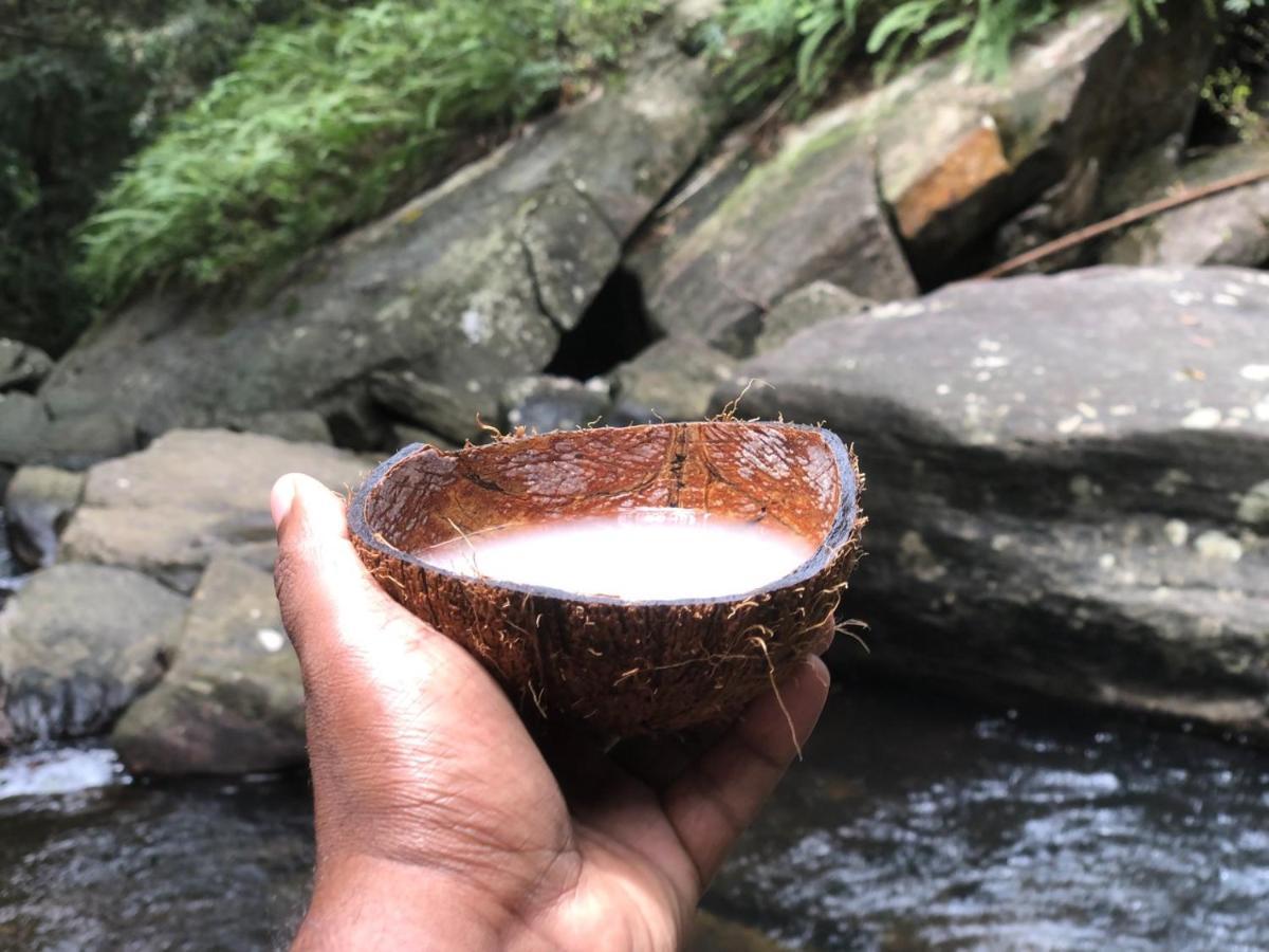 Palabaddala Tea And Eco Lodge Ratnapura Zewnętrze zdjęcie