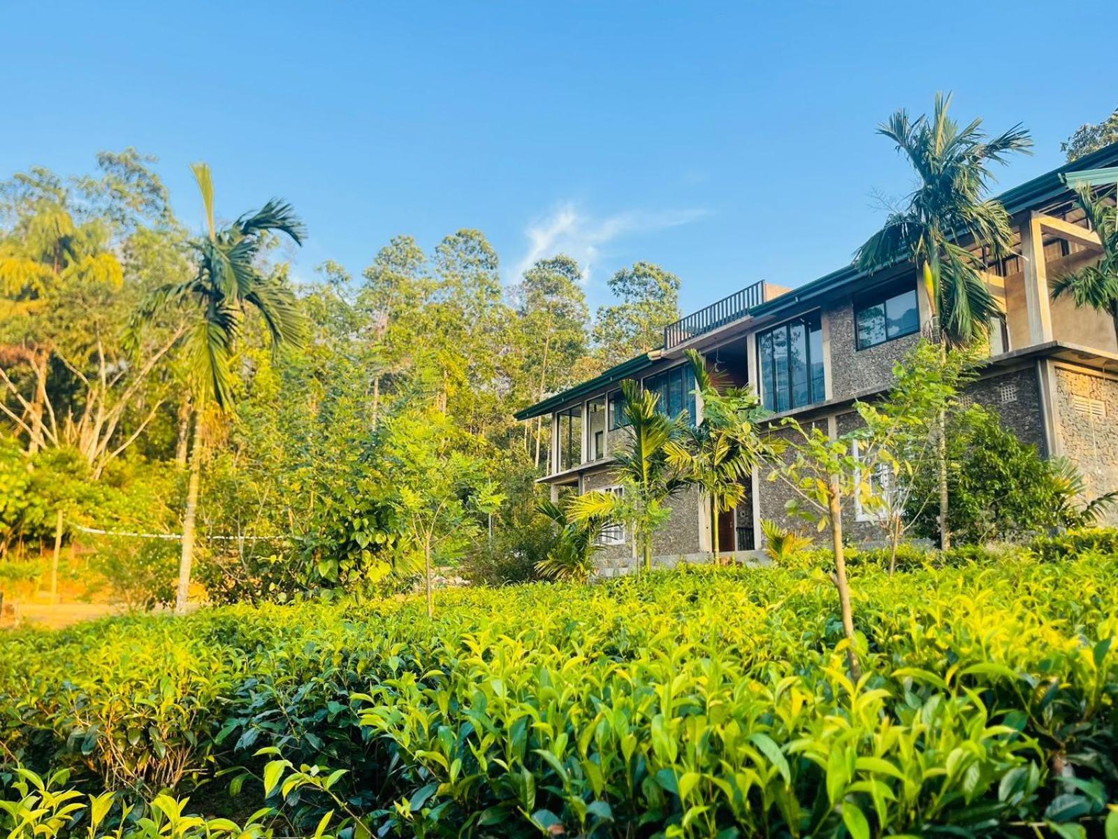 Palabaddala Tea And Eco Lodge Ratnapura Zewnętrze zdjęcie