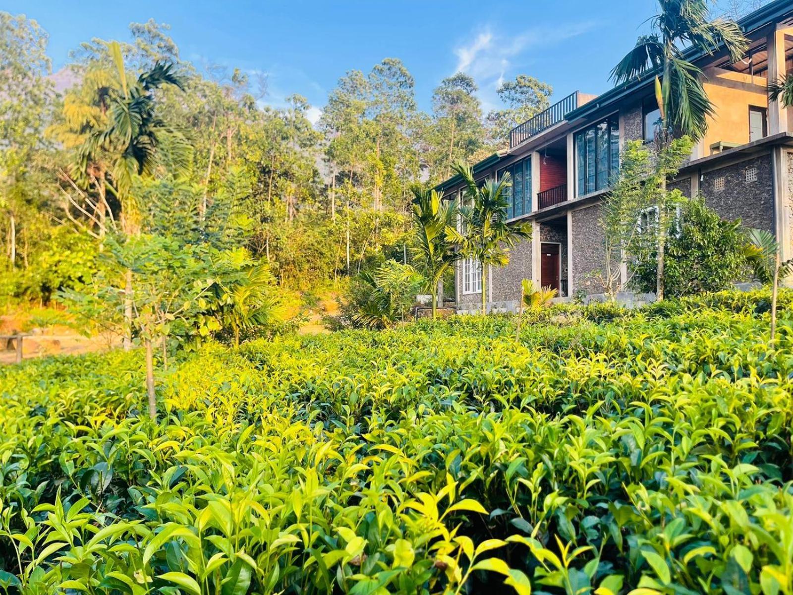 Palabaddala Tea And Eco Lodge Ratnapura Zewnętrze zdjęcie