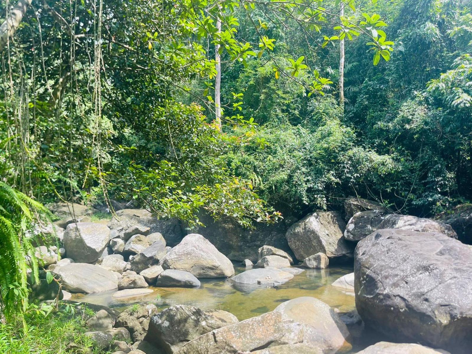 Palabaddala Tea And Eco Lodge Ratnapura Zewnętrze zdjęcie