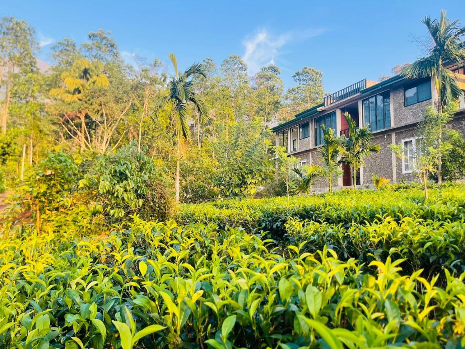 Palabaddala Tea And Eco Lodge Ratnapura Zewnętrze zdjęcie