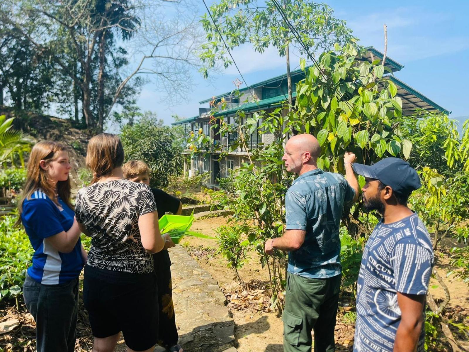 Palabaddala Tea And Eco Lodge Ratnapura Zewnętrze zdjęcie