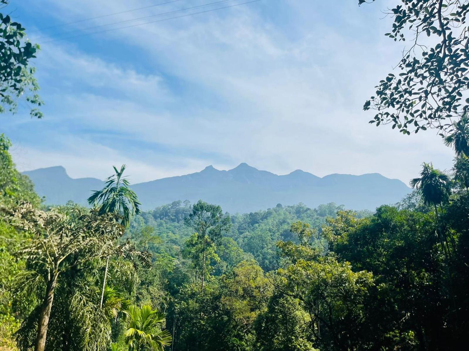 Palabaddala Tea And Eco Lodge Ratnapura Zewnętrze zdjęcie