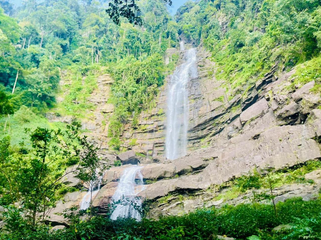 Palabaddala Tea And Eco Lodge Ratnapura Zewnętrze zdjęcie