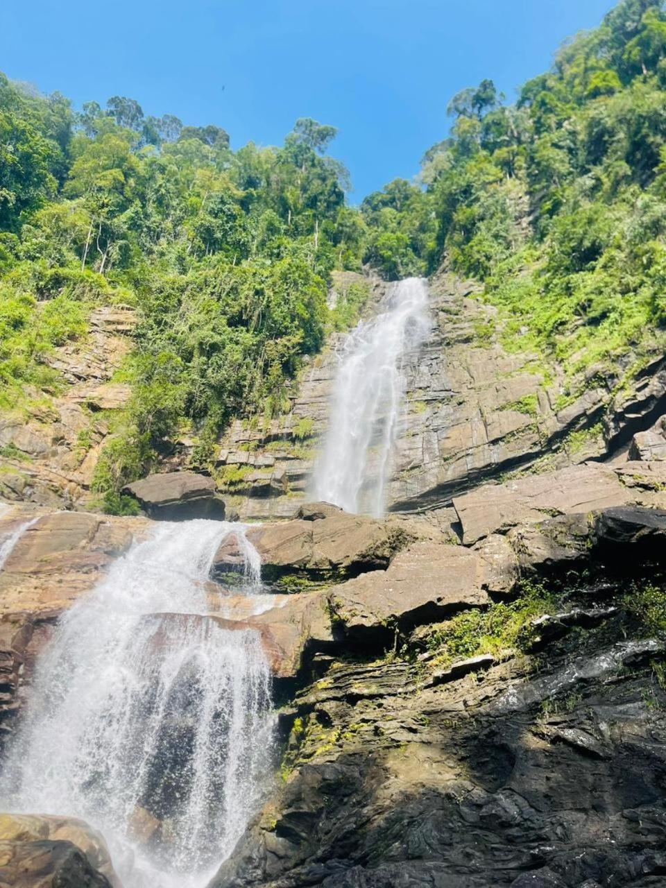 Palabaddala Tea And Eco Lodge Ratnapura Zewnętrze zdjęcie