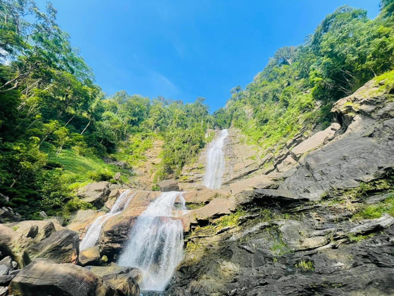Palabaddala Tea And Eco Lodge Ratnapura Zewnętrze zdjęcie