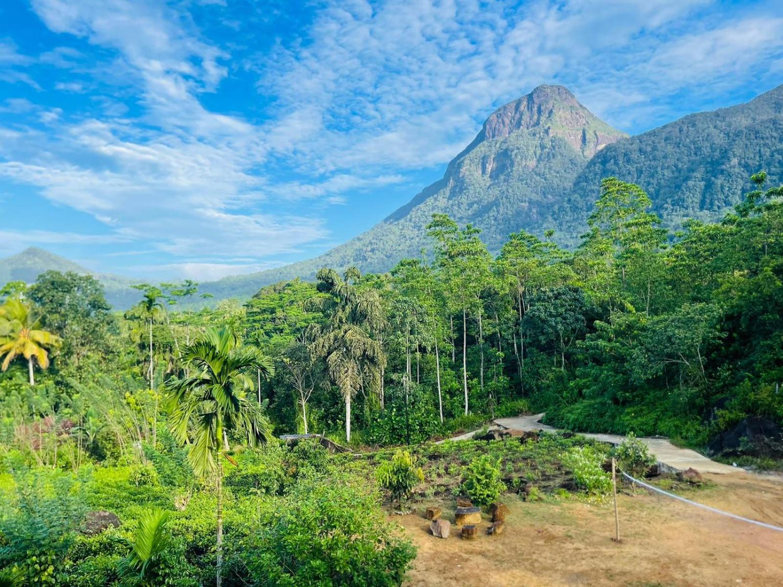 Palabaddala Tea And Eco Lodge Ratnapura Zewnętrze zdjęcie